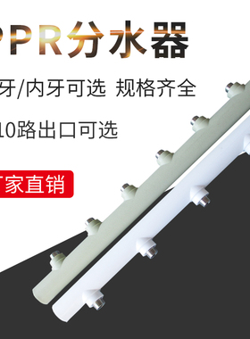 PPR分水器外丝内丝水表分水阀主管50mm200间距分支4分6分1寸 外牙