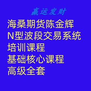 海桑期货陈金辉N型波段交易系统培训课程 基础核心课程高级全套