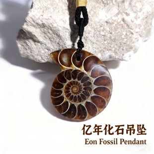 天然马达加斯加白垩纪菊石化石吊坠饰品挂坠项链地质科普教学标本