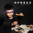 古生物狼鳍鱼化石自己动手劈天然化石三叶虫考古挖掘教学标本礼物