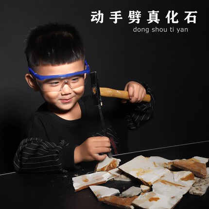 古生物狼鳍鱼化石自己动手劈天然化石三叶虫考古挖掘教学标本礼物