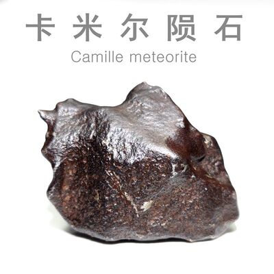 卡米尔铁陨石原石教学摆件收藏