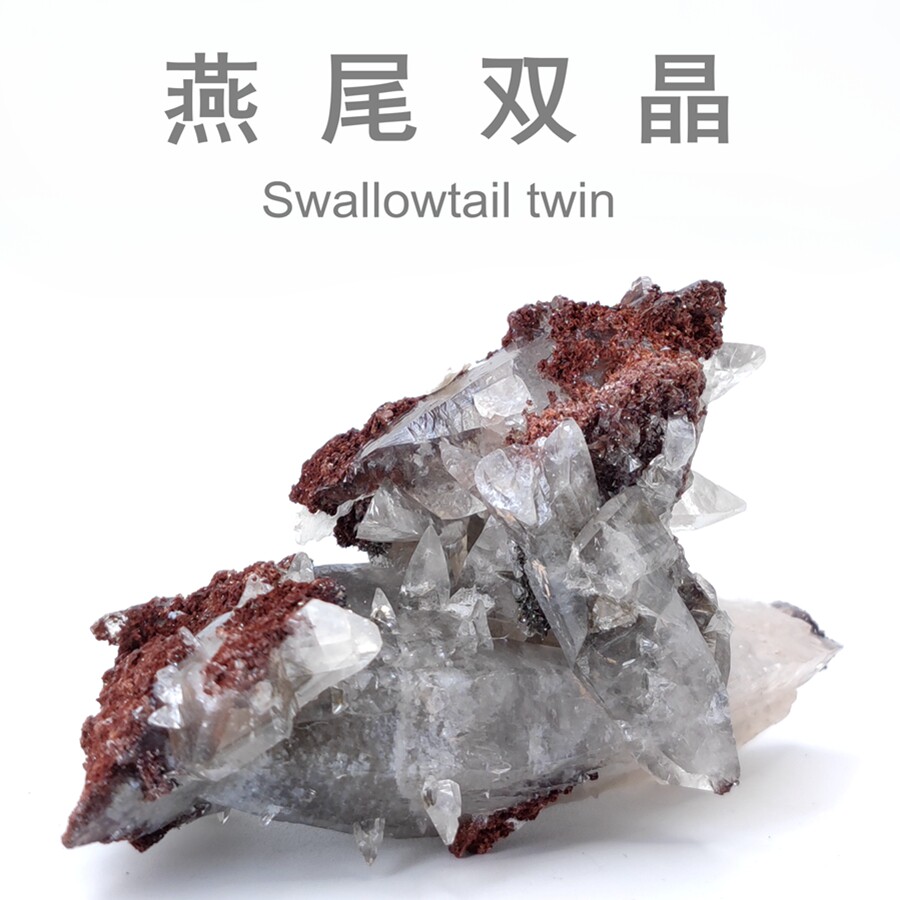 赤铁矿石天然燕尾双晶共生原石矿物晶体标本水晶方解石收藏摆件