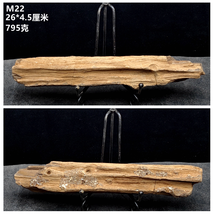 正品黑龙江木化石冰河时期树化玉硅化木原石摆件天然奇石观赏石标
