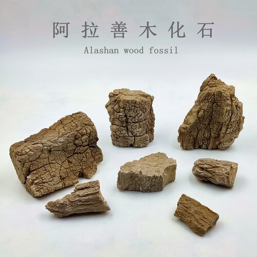 阿拉善沙漠木化石天然摆件