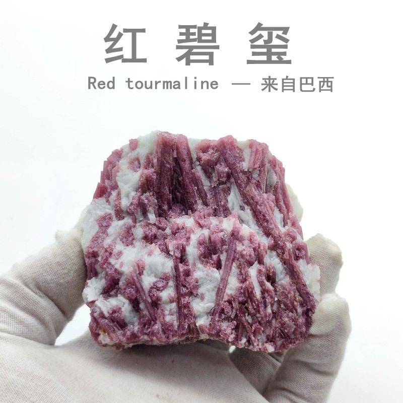 红碧玺原石矿物标本天然梅花碧玺托玛琳电气石宝石红水晶科普教学