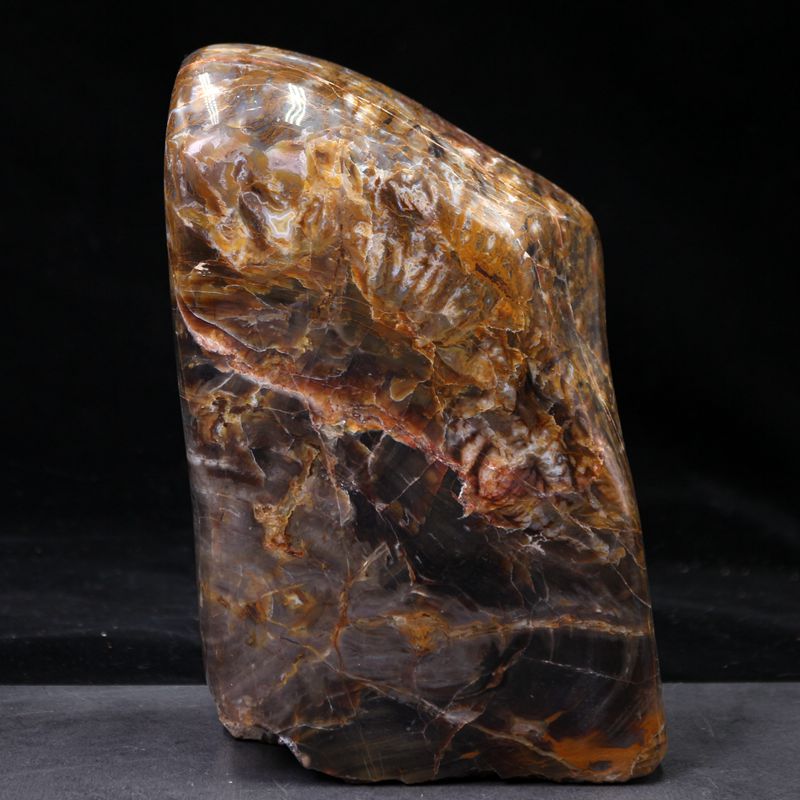 辽西朝阳木化石树化玉硅化木天然奇石观赏石教学标本收藏原石摆件