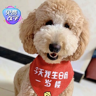 生日快乐猫咪生日围兜狗狗围脖装饰品围嘴口水巾宠物装扮拍照道具