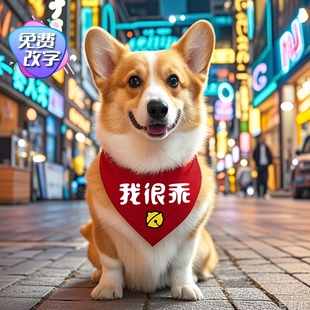 我很乖柯基围嘴萨摩防水口水巾棉麻大型松狮狗狗宠物狗狗名字围嘴