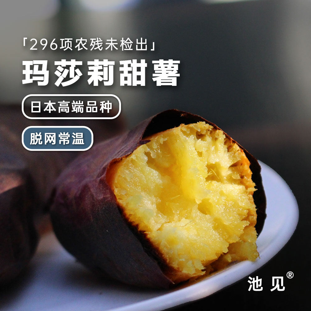 池见 高端日引品质玛莎莉甜薯红薯地瓜黄心糯金莎软糯蜜粗粮早餐