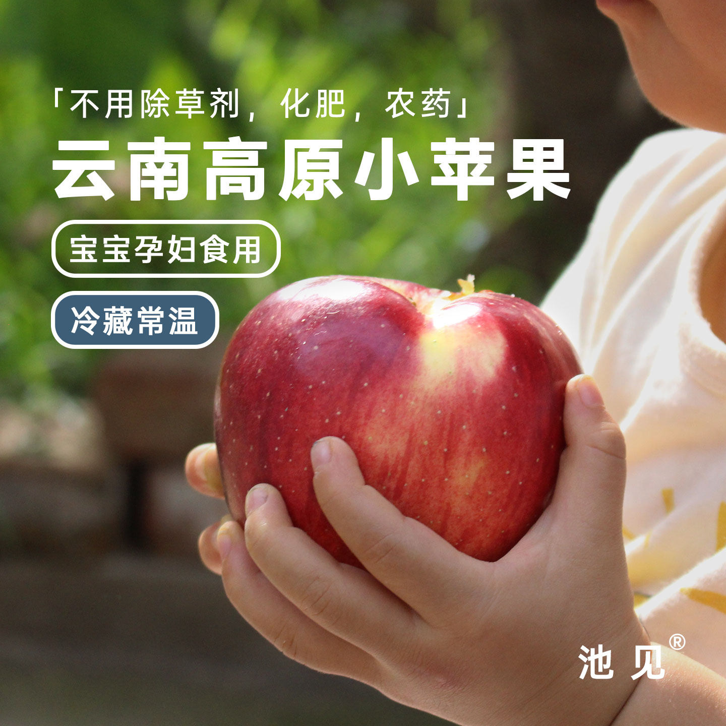 池见云南高原野有及夏露冰溏心富士小苹果(酸甜爽脆)当季新鲜水果,水产肉类/新鲜蔬果/熟食,苹果,淘宝优惠券,粉丝福利购,淘宝优惠卷