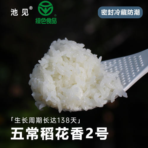 东北黑龙江五常稻花香大米2号