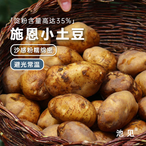 淀粉含量高达35%比普通土豆多2倍