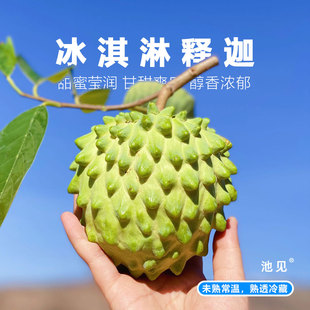 池见 台湾牛奶冰激凌凤梨释迦果番荔枝佛头果摩尼果林檎大果新鲜