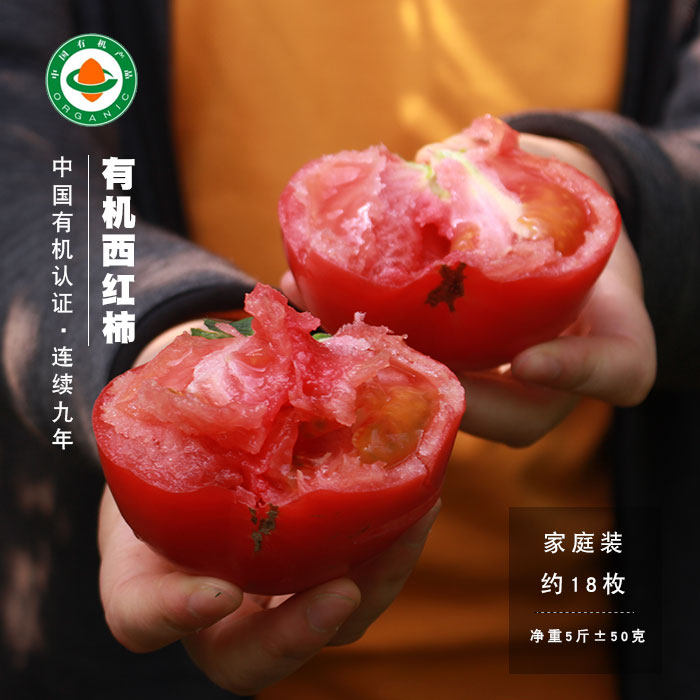 池见 新疆有机西红柿番茄自然成熟现摘现发水果番茄茄味浓郁,水产肉类/新鲜蔬果/熟食,番茄,淘宝优惠券,粉丝福利购,淘宝优惠卷
