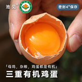 池见三重有机山林土鸡蛋农家散养新鲜正宗柴鸡蛋谷物农村可生食