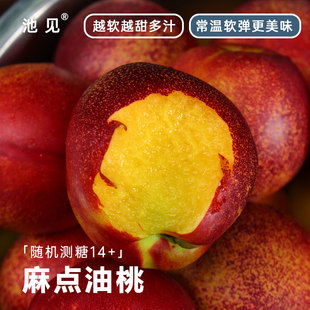 池见山东麻点油桃黄心黄肉当季时令水果孕妇自然成熟桃香甜蜜多汁