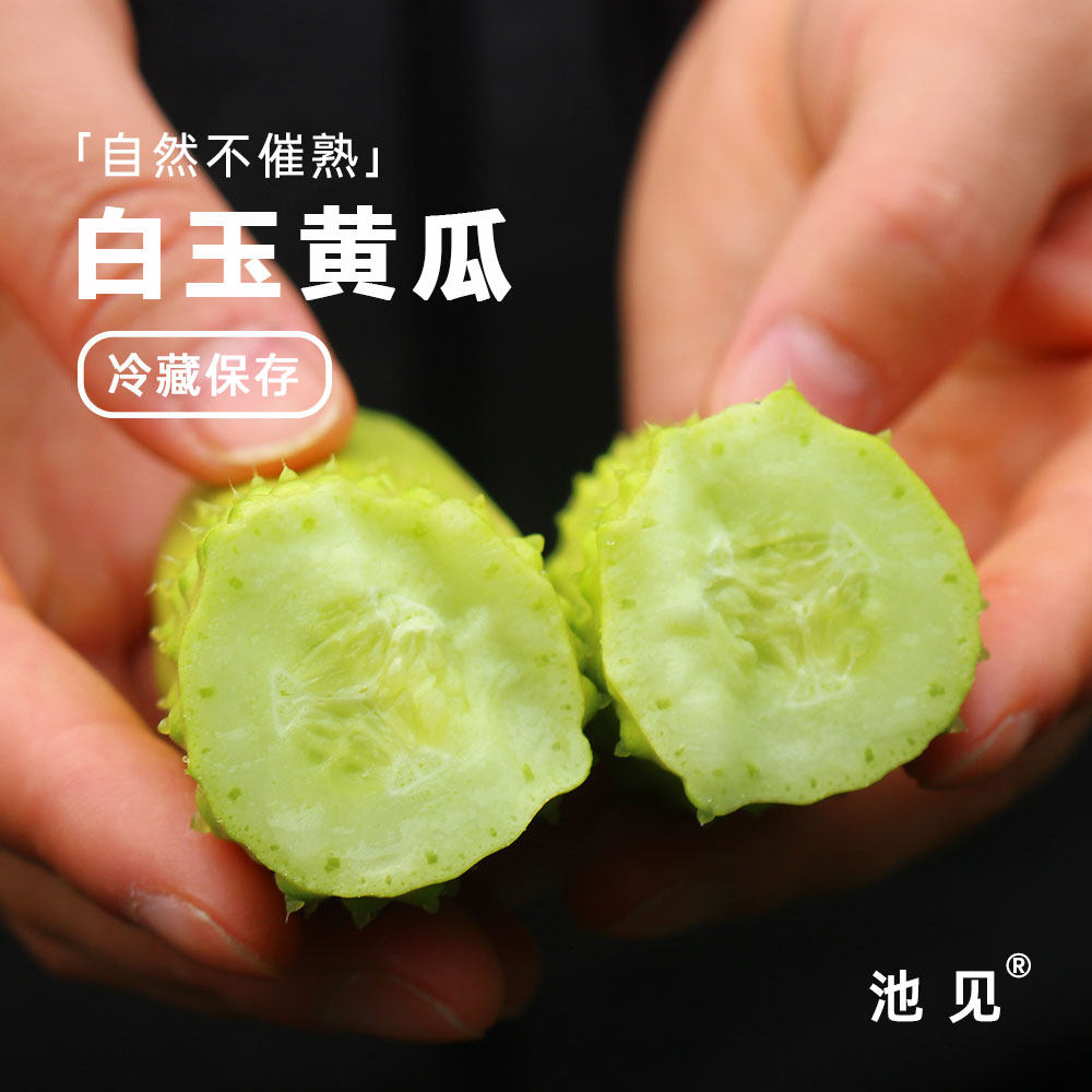 池见 海阳新鲜水果白玉黄瓜小乳瓜 瓜味十足 鲜嫩脆 无涩口,水产肉类/新鲜蔬果/熟食,黄瓜,淘宝优惠券,粉丝福利购,淘宝优惠卷