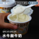 限量价 水牛酸牛奶池见水牛酸奶酸奶发酵乳原味酸奶新鲜早餐携带