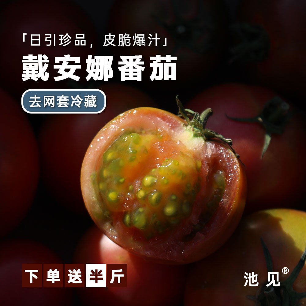 池见山东黛安娜草莓番茄西红柿新鲜现挖露天番茄生吃蔬菜水果柿子,水产肉类/新鲜蔬果/熟食,番茄,淘宝优惠券,粉丝福利购,淘宝优惠卷