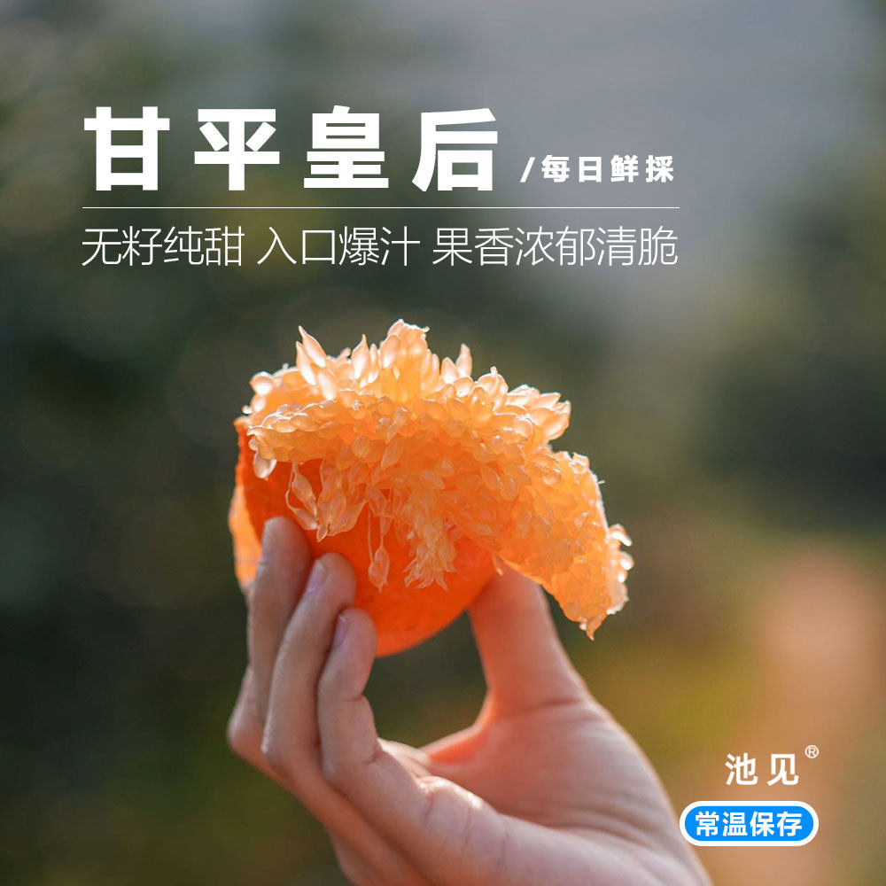 池见 甘平皇后柑橙子非耙耙柑橙子柑橘新鲜水果整箱眉山,水产肉类/新鲜蔬果/熟食,桔子,淘宝优惠券,粉丝福利购,淘宝优惠卷