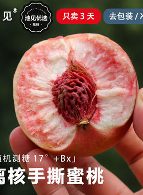沙瓤红离核手撕蜜（糖度17°Bx）