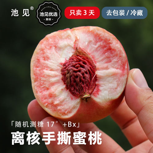 沙瓤红离核手撕蜜（糖度17°Bx）