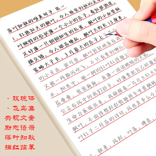练字帖女生字体漂亮玫瑰励志语录飞鸟集央视文案小学初高中生成人