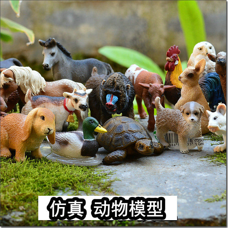 仿真动物模型 儿童玩具 摆件公仔 龟兔羊狗 野生蛇家禽鹦鹉