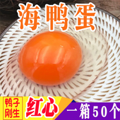 广西北海北部湾红树林新鲜生海鸭蛋土鸭蛋鲜海鸭蛋50枚装 整箱大蛋