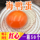 广西北海北部湾红树林新鲜生海鸭蛋土鸭蛋鲜海鸭蛋50枚装 整箱大蛋
