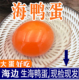 广西北海北部湾红树林正宗新鲜生海鸭蛋土鸭蛋新鲜鸭蛋30枚装 散养