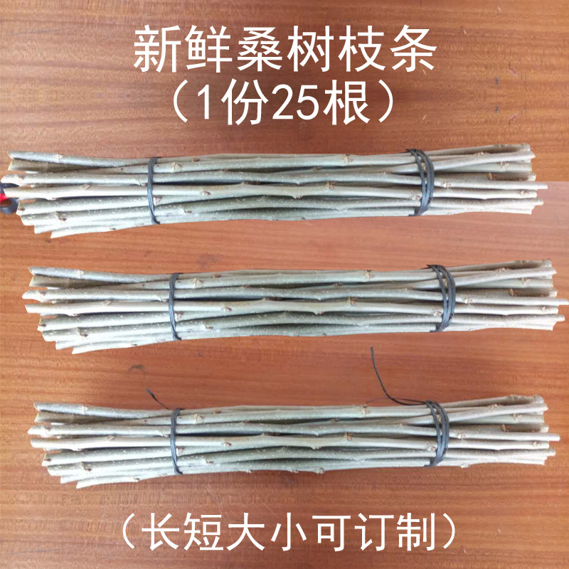 纯手工新鲜桑树枝棒 经络养生拍打按摩棒人工(长度可以定制)