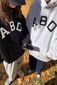 情侣装早秋 高街连帽套头排扣情侣卫衣外套H701 P68女类图片