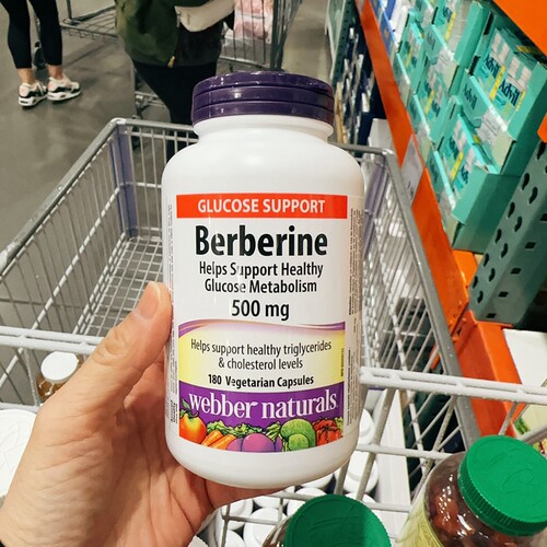 小檗碱抗炎维持心血管肠胃健康