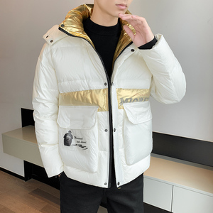 白鸭绒标90绒立领羽绒服中青年男士加厚保暖防寒服男YR9006P130