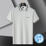 POLO衫男商务上衣翻领冰感珠地polo衫短袖T恤PL8055-8066-8077P20，男装Polo衫，星座1410（原1902A）