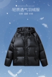2026新短款羽绒服男士情侣潮流时尚宽松连帽上衣外套YR618P180，男装羽绒服，星座1410（原1902A）