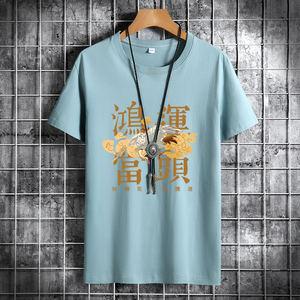 夏季男士短袖t恤潮流潮牌宽松纯棉衣服2021DT4432-鸿运当头鹤-P15