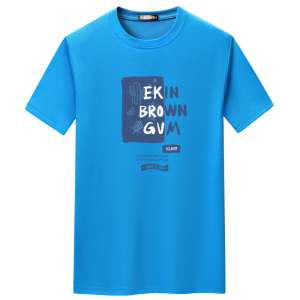 夏季短袖t恤青春宽松CVC60%棉衣服新款男装DT3429-EKIN仙人掌-P15图片