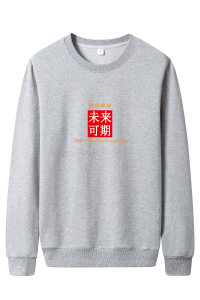 秋卫衣男圆领韩版嘻哈运动外套ins港风休闲衣WY7027-未来可期-P30图片