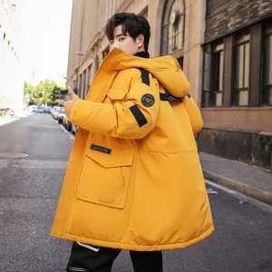 2021新款男士中长款羽绒服冬装外套男加厚羽绒服BLLZ-2020-P190图片