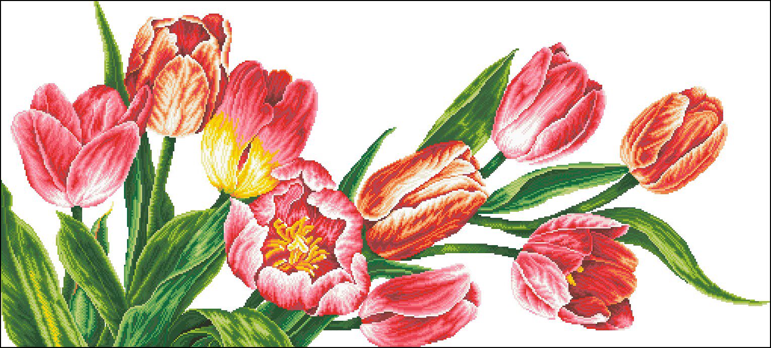 十字绣电子图纸841美丽的郁金香510w*230h27色 xsd源文件