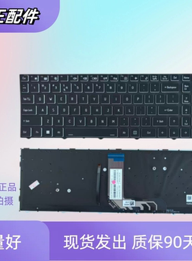 适用神舟Z7T-TA5NS Z7-DA5NP TX7-CT5DS CN95S03 G10-CU7PF换键盘