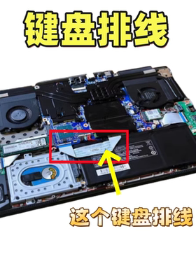适用深海泰坦x3机械革命X8ti 机械师F117-FP 内置机械键盘排线