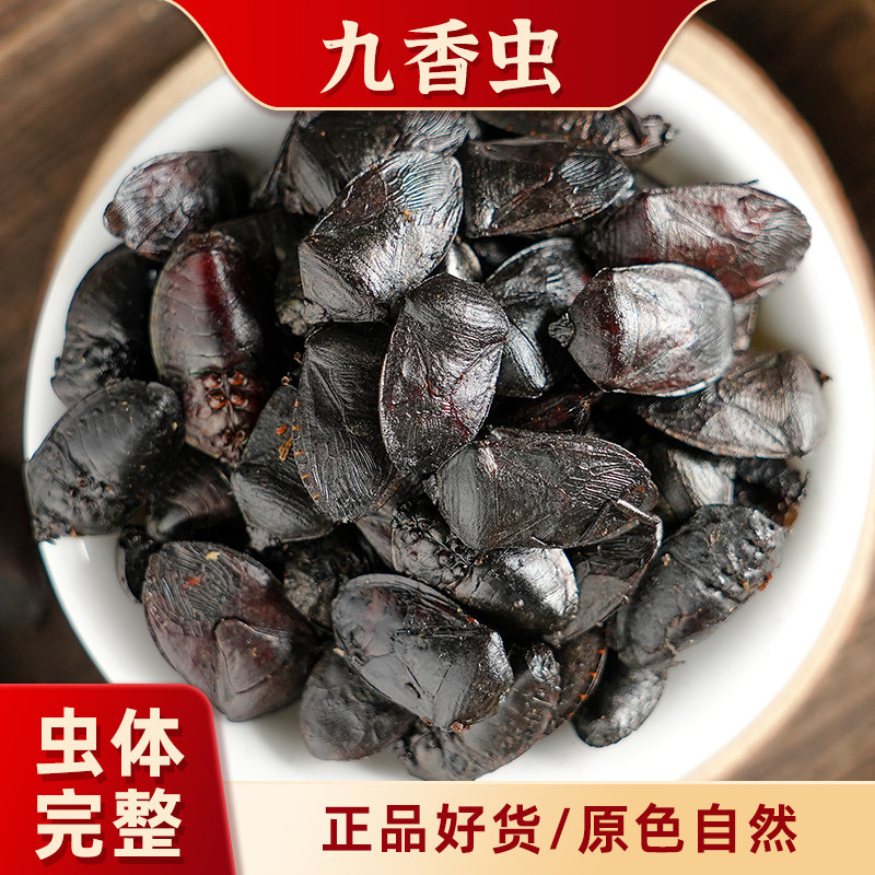 九香虫自然生长九香虫应季新货打屁虫屁巴虫臭壳子虫500克包邮