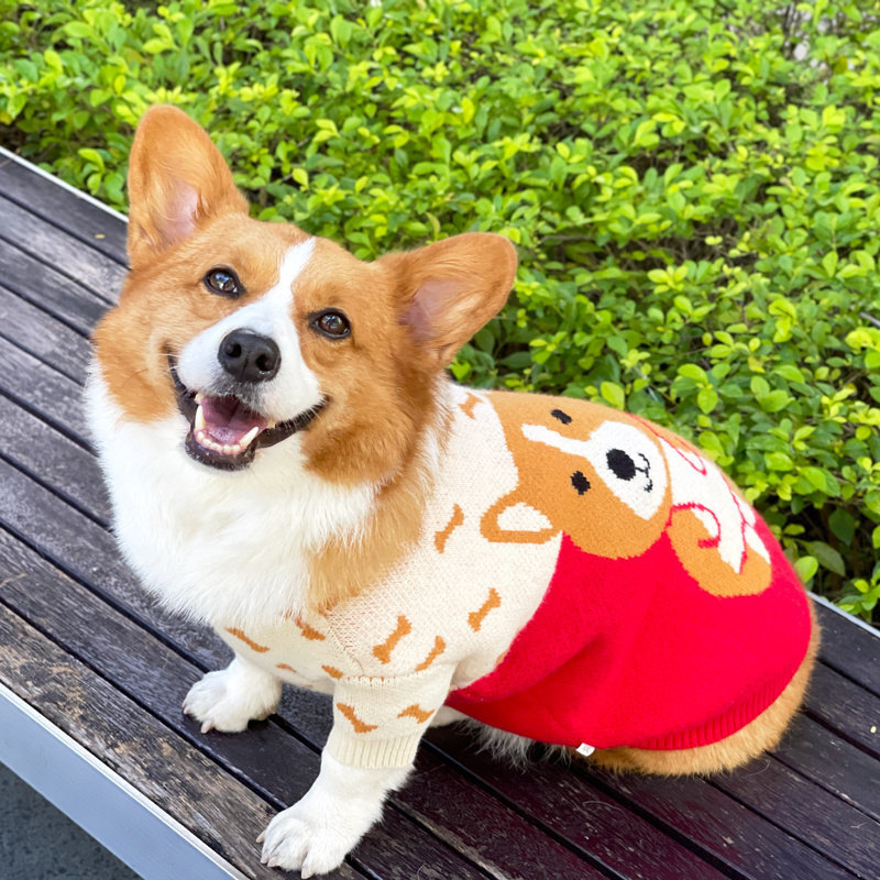 狗新年衣服柯基保暖毛衣中小型犬比熊雪纳瑞柴犬奶狗冬季过年衣服