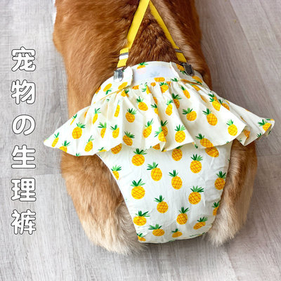 柯基姨妈裤狗狗月经神器生理裤