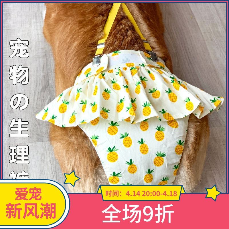 狗狗月经神器生理裤母狗柯基法斗大姨妈卫生巾宠物经期女狗姨妈裤