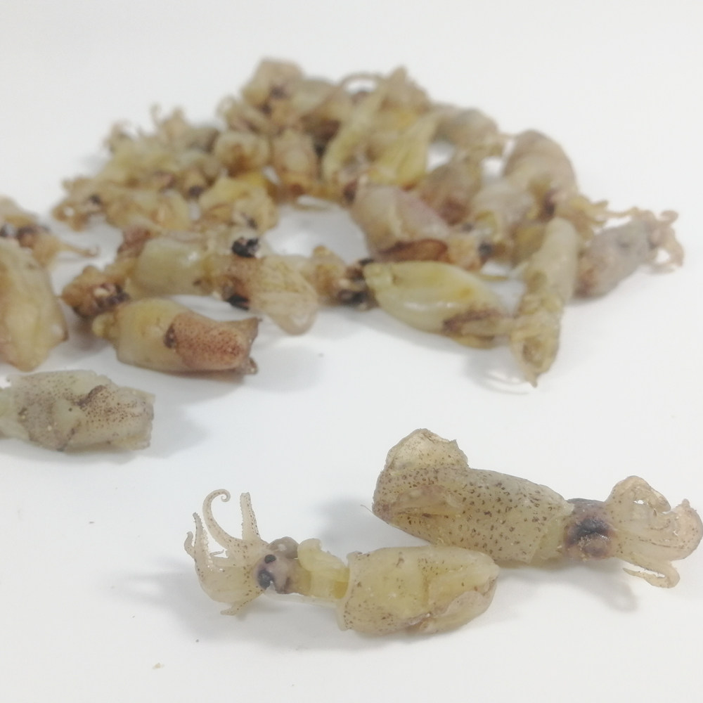 迷你小乌贼 小墨鱼 乌贼干 笔管鱼 400g 瓦西里